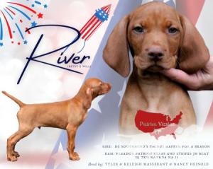 Patriot A River Runs Through It