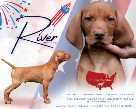 Patriot A River Runs Through It