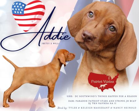 Patriot Adda Girl