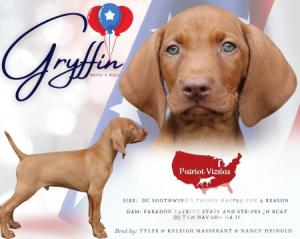 Patriot Gryffin Live Not Stopping