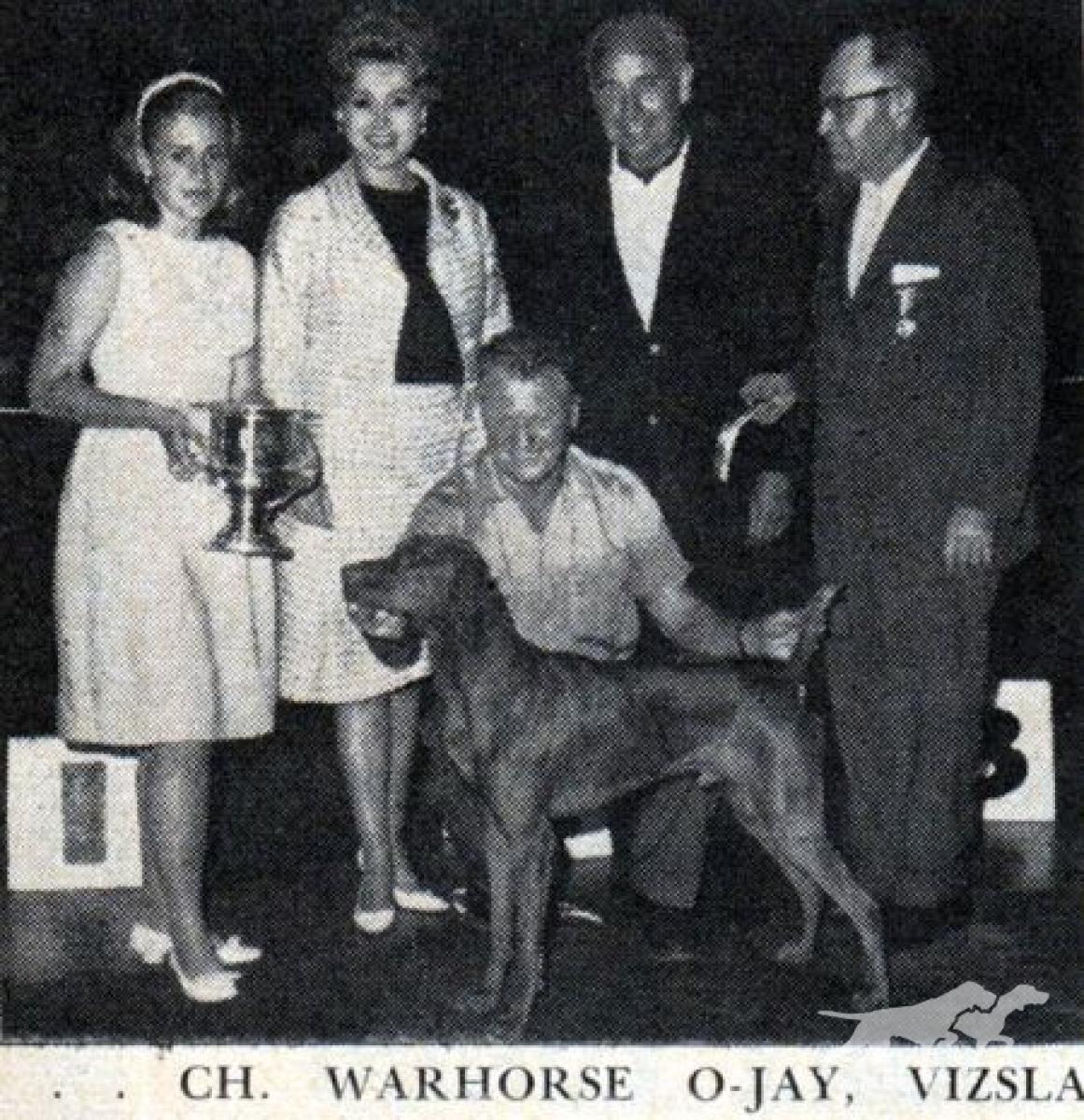 Warhorse O-Jay