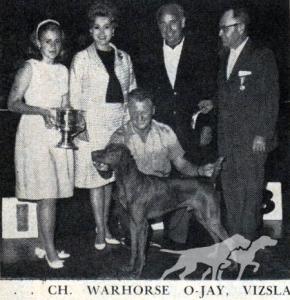 Warhorse O-Jay
