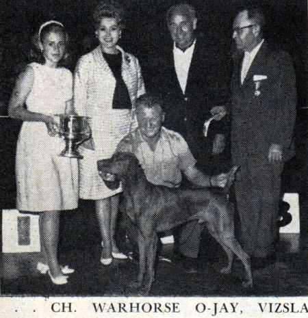 Warhorse O-Jay