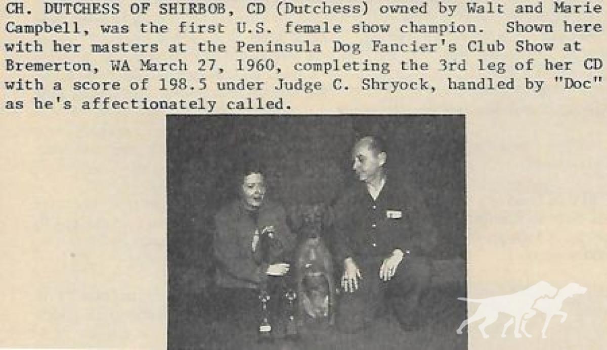 Duchess of Shirbob