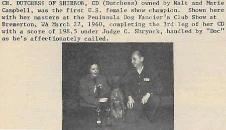 Duchess of Shirbob