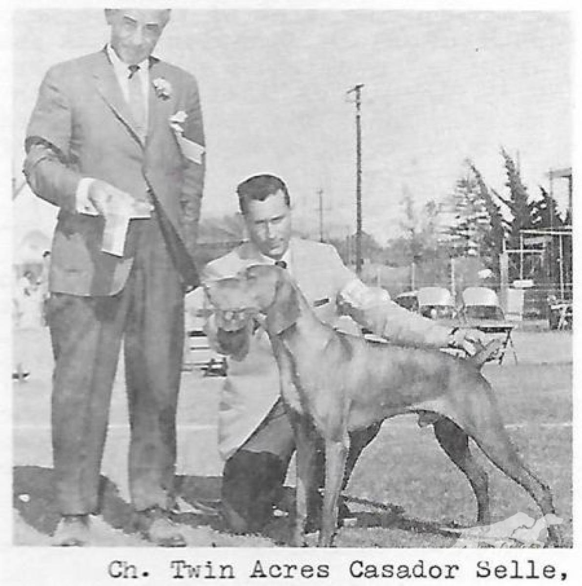 Twin Acres Cassador Selle