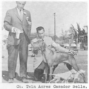 Twin Acres Cassador Selle