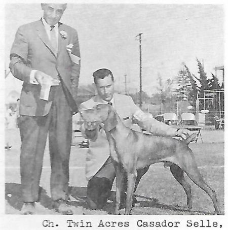 Twin Acres Cassador Selle