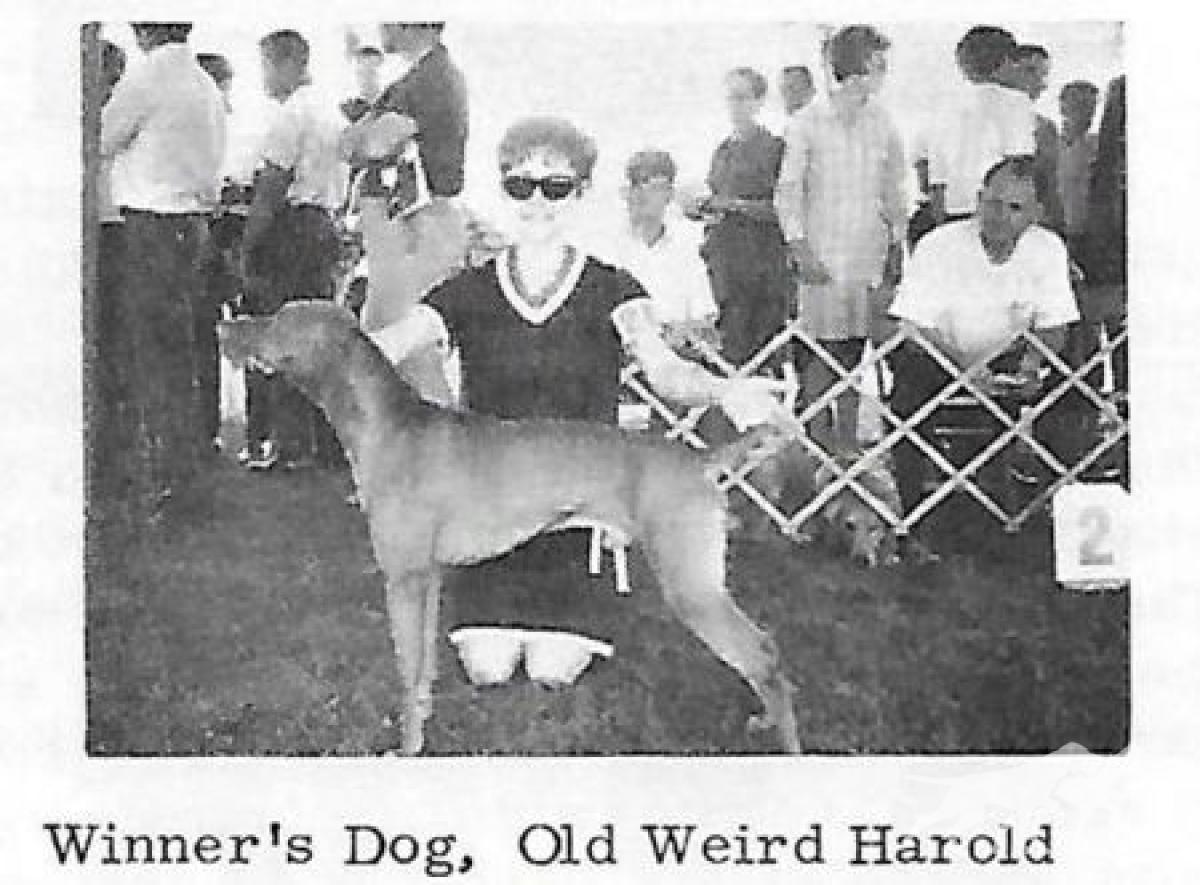 Old Weird Harold