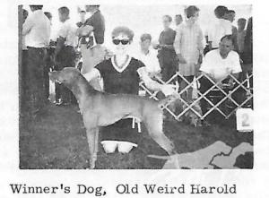 Old Weird Harold