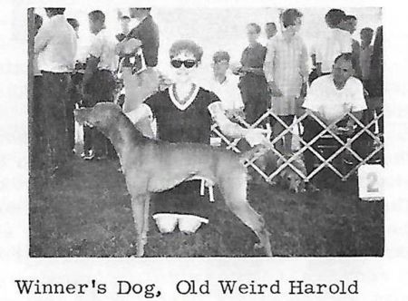 Old Weird Harold