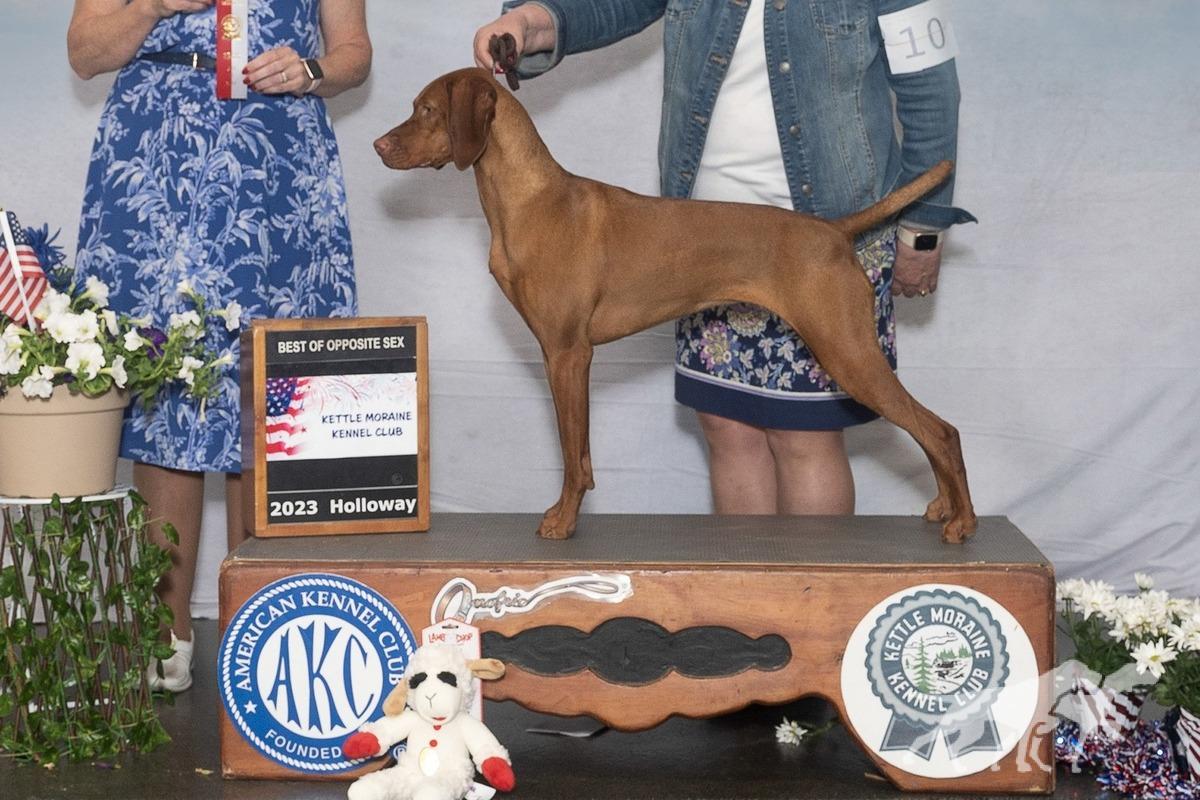 Derby's Unexpected Risk
