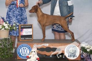 Derby's Unexpected Risk