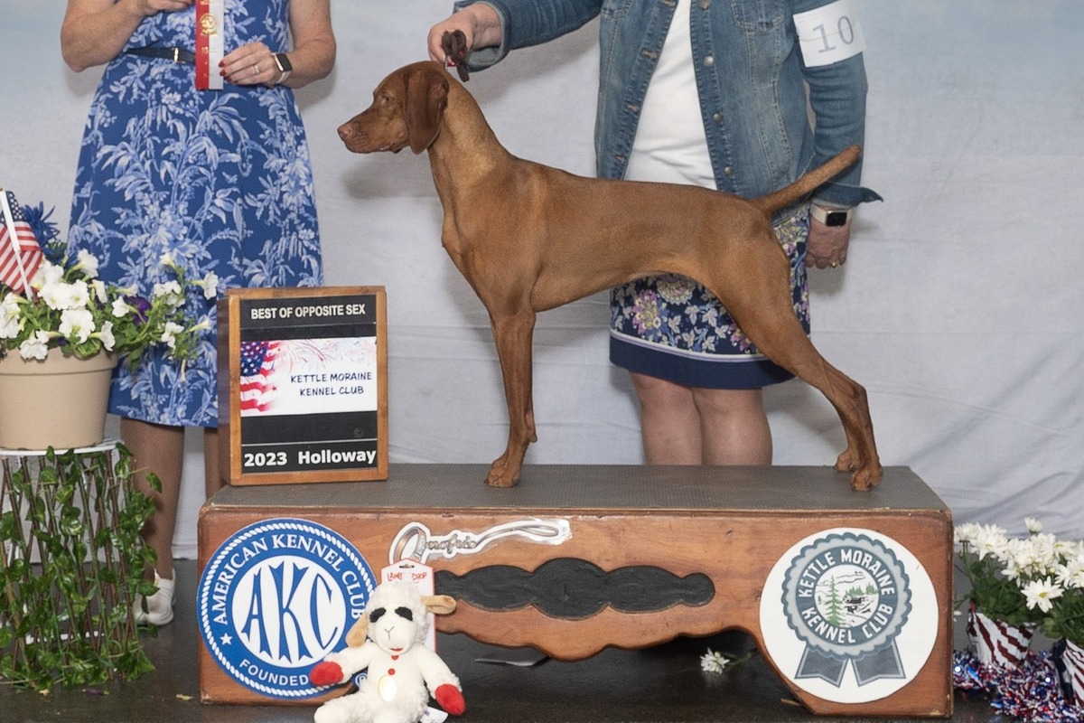 Derby's Unexpected Risk