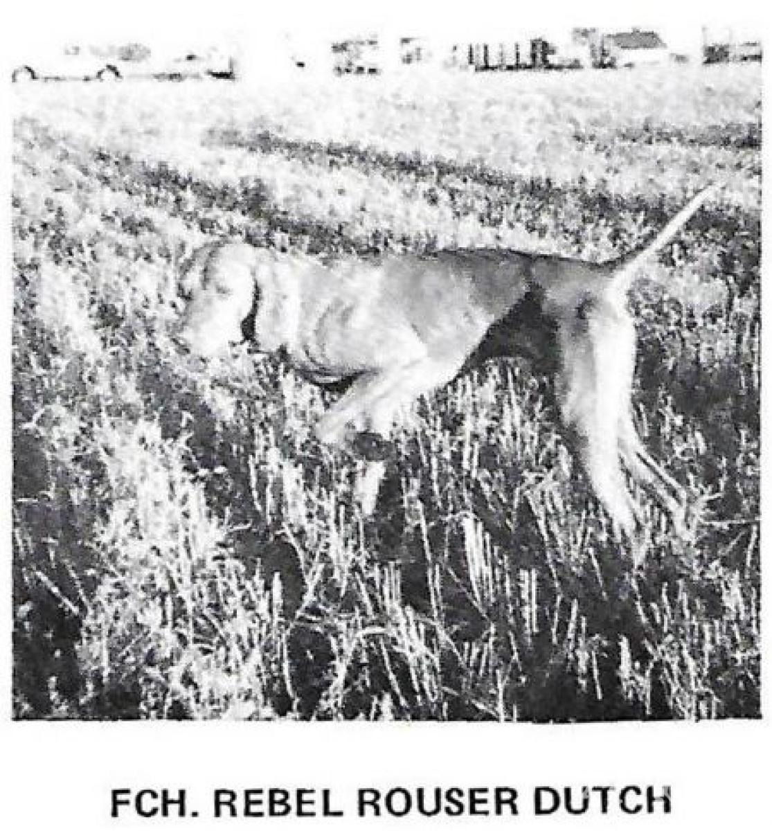 Rebel Rouser Dutch