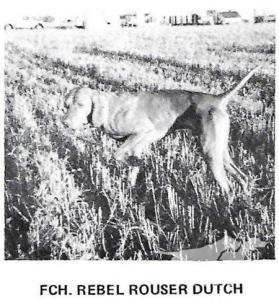 Rebel Rouser Dutch