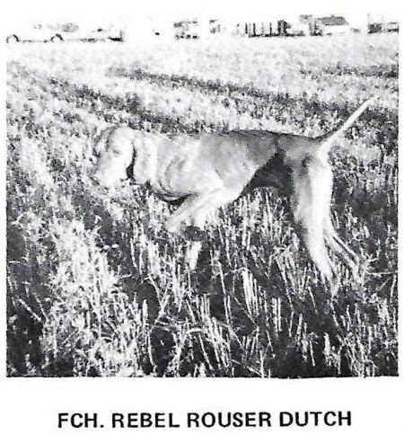 Rebel Rouser Dutch