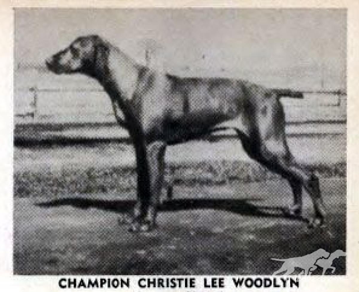 Christie Lee Woodlyn's