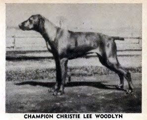 Christie Lee Woodlyn's
