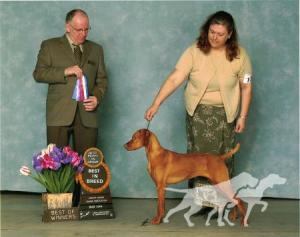 Piroska Sunfire's Final Fling