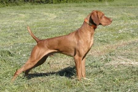 Onpoint's Spinning Axel