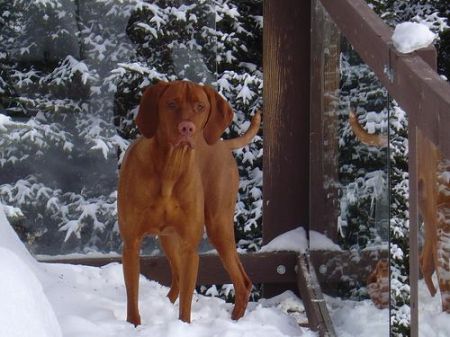 Blackbullet Il Mio Amore Varaz