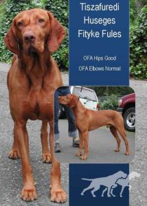 Tiszafuredi Huseges Fityke Fules