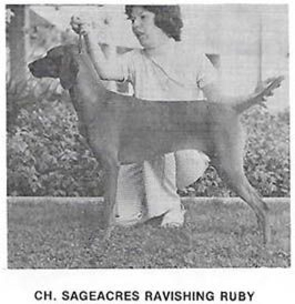 Sageacres Ravishing Ruby