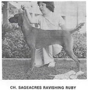 Sageacres Ravishing Ruby