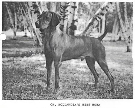 Hollandia's Hebe Hoba