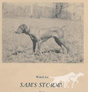 Sam's Stormy