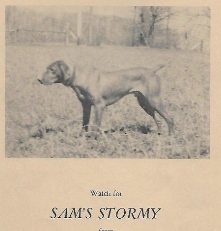Sam's Stormy