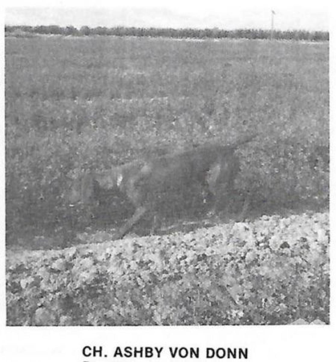 Ashby von Donn