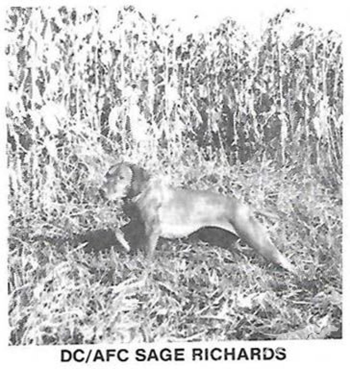 Sage Richards