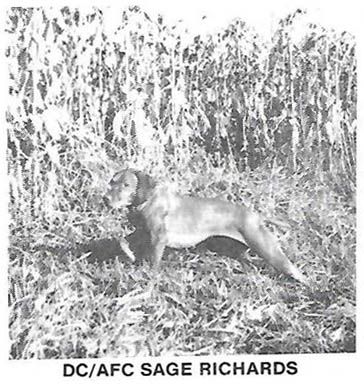 Sage Richards