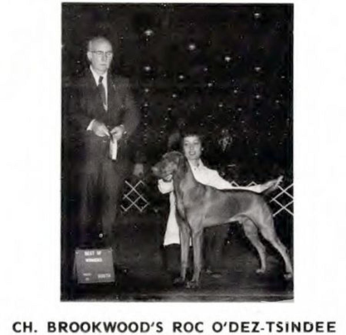Brookwood's Roc O'Dez-Tsindee