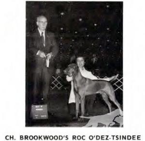 Brookwood's Roc O'Dez-Tsindee