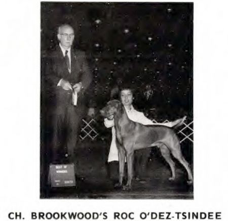 Brookwood's Roc O'Dez-Tsindee