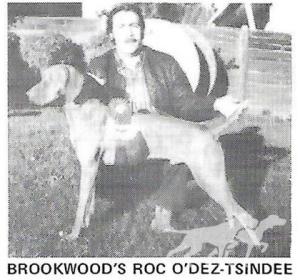 Brookwood's Roc O'Dez-Tsindee