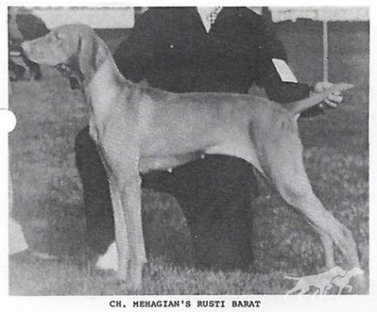 Mehagian's Rusti Barat