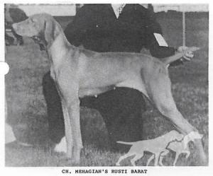 Mehagian's Rusti Barat