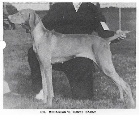 Mehagian's Rusti Barat