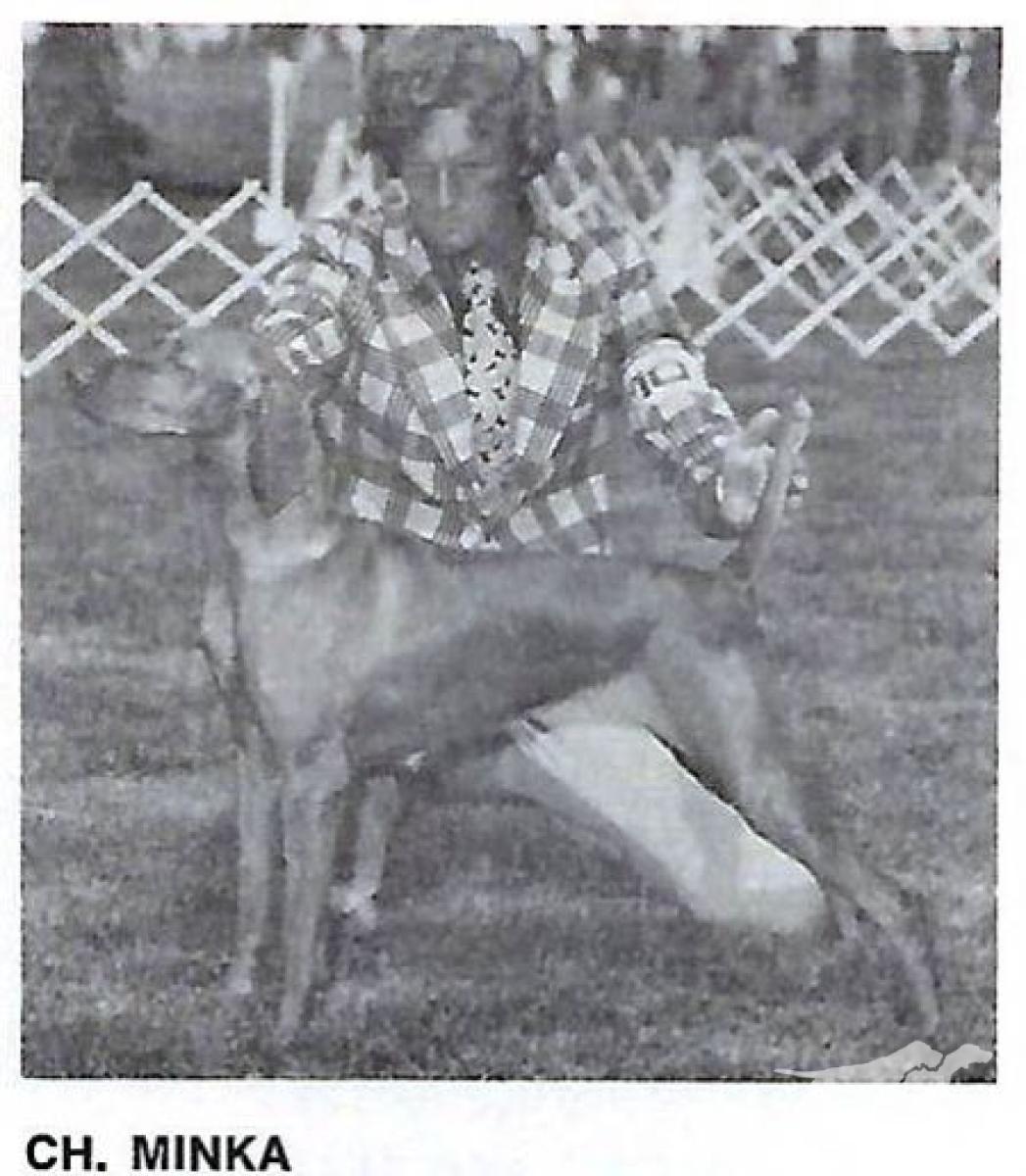 Minka