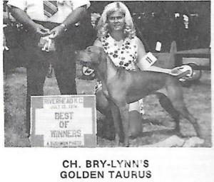 Bry-Lynn's Golden Taurus