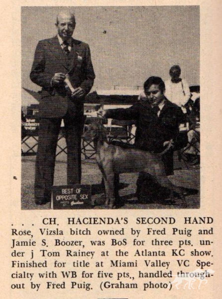 Hacienda's Second Hand Rose