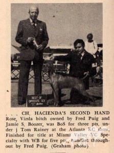 Hacienda's Second Hand Rose