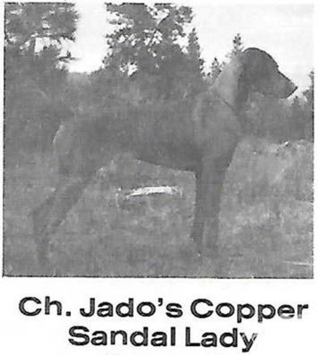 Jados Copper Sandal Lady