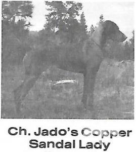 Jados Copper Sandal Lady