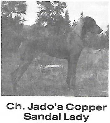Jados Copper Sandal Lady