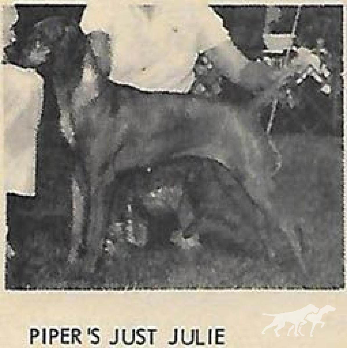 Piper's Just Julie